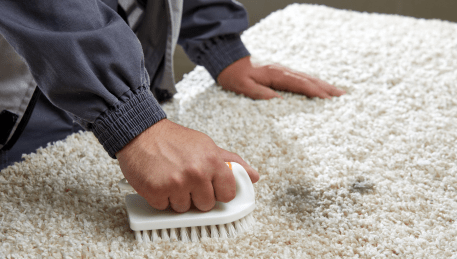 Professional Rug Cleaning Clarkefield